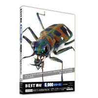 美貴本 BEST素材5000シリーズ vol.006 生きている昆虫の色と形 (BEST素材5000シリーズ vol.006 生きている昆虫の色と形)画像