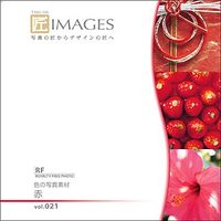 マイザ 匠IMAGES Vol.021 赤 (XAMTK0021)画像