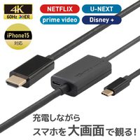 RATOC Systems USB Type-C to HDMI 変換ケーブル(PD対応・5m) (RS-UCHD4K60-5M)画像