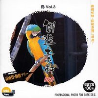 イメージランド 創造素材100 鳥Vol.3 (935552)画像