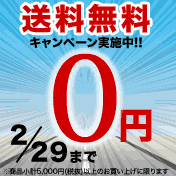 送料無料キャンペーン開催中!!