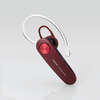 41875584
