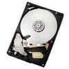 Western Digital(HGST) Deskstar7K1000.C/3.5inch160GB/SATA/7200rpm/キャッシュ8MB (HDS721016CLA382)