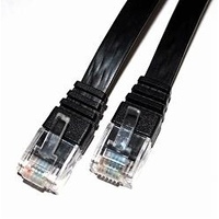 日本トラストテクノロジー バルク フラットLANケーブル CAT6 50cm NBLANF50 (NBLANF50)画像