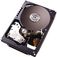 HGST Ultrastar146Z10/IC35L036UWDY10(36GB/WIDE) (IC35L036UWDY10)画像