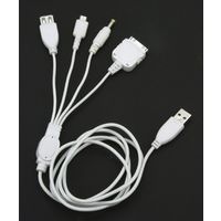Century iArm USB充電ケーブル IARM-PDIU (IARM-PDIU)画像