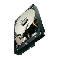 SEAGATE Constellation ES.3シリーズ 3.5inch SATA 6Gb/s 1TB 7200rpm 128MB (ST1000NM0033)画像