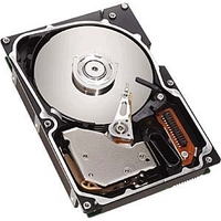 SEAGATE Cheetah10K.6/ST336607LC(36GB/SCA) (ST336607LC)画像