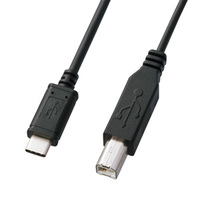 サンワサプライ USB2.0 TypeC – Bケーブル 2m KU-CB20 (KU-CB20)画像