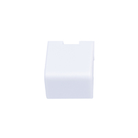 パナソニックEWネットワークス カラーチップ(マットホワイト) (PN74001-W)画像