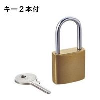 ELECOM 南京錠 統一キー仕様 (ESL-NKS)画像