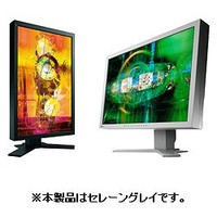 EIZO 24.1型カラー液晶モニター(VI200/DD200付属)デスクトップ/フリーマウント兼用 (SX2462W-PXGY)画像