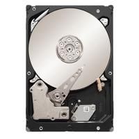 SEAGATE ST33000651AS (ST33000651AS)画像