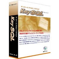 テニック KeySQL V4.2 検索・更新版 (NKS42A)画像