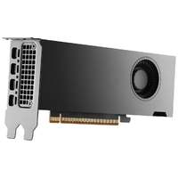 NVIDIA NVIDIA RTX PRO 2000 Blackwell (LP) Retail (900-5G195-2551-000)画像