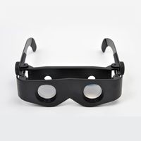 サンコー メガネ型双眼鏡 4XZLEEYG (4XZLEEYG)画像