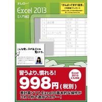 ナレロー ナレロー Excel 2013 入門編 (N11-59)画像