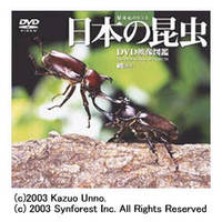 シンフォレスト 日本の昆虫/DVD映像図鑑 (SDA25)画像