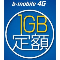 日本通信 b-mobile3G・4G 1GB定額パッケージ(ナノSIM) BM-FRML-1GBN (BM-FRML-1GBN)画像