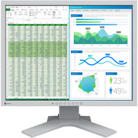 EIZO FlexScan S2134-HGY (S2134-HGY)画像