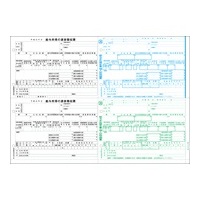 ヒサゴ OP1195R 所得税源泉徴収票 4面 横給紙 30枚入り (OP1195R)画像