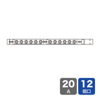 サンワサプライ 19インチサーバーラック用コンセント 200V(20A) 3P 12個口 (TAP-SV22012)画像