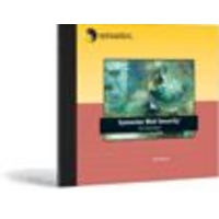 Symantec Symantec Mail Security 4.0 for Domino Win WebSvr UPG 1-9 (10278498-JP)画像