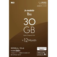 日本通信 b-mobile Biz 申込パッケージ(DC・ SB/iPhone・iPad) (BM-GTPLB-12M-P)画像