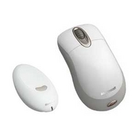 Microsoft Wireless Optical Mouse Ice White (K80-00020)画像