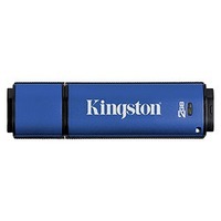 KINGSTON 2GB Data Traveler Vault Privacy Edition DTVP/2GB (DTVP/2GB)画像