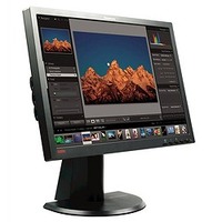 LENOVO 4420HB2 ThinkVision L2440p Wideモニター (4420HB2)画像