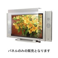 EverGreen 32型ワイドテレビ用 薄型液晶プロテクター(保護パネル) 光沢モデル (EG-EHP32)画像