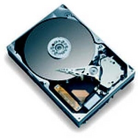 MAXTOR MAXLinePlus II/7Y250M0(SATA-250GB/8MB) (7Y250M0)画像