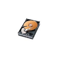 Western Digital WD1000JB 100 GB(特価品) (WD1000JB)画像
