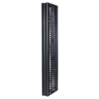 APC Valueline; Vertical Cable Manager for 2 & 4 Post Racks; 84H X 6W; Double-Sided with Doors (AR8725)画像