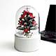 E-LETS 線上のメリークリスマス2 (AIG-Xmas2/U)画像