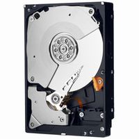 Western Digital WD1001FALS Caviar Black (WD1001FALS)画像