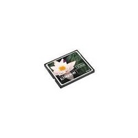 KINGSTON CF/2GBFE コンパクトフラッシュカードスタンダード 2GB (CF/2GBFE)画像