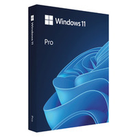 Microsoft Windows 11 Pro 英語版 (HAV-00163)画像
