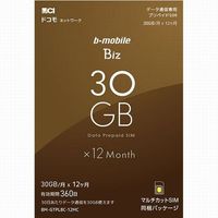b-mobile Biz SIMパッケージ(DC/マルチ)画像