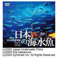 シンフォレスト 日本の海水魚/DVD 映像図鑑 (SDA26)画像