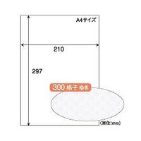 ヒサゴ BM300NS クラッポカード A4 全面 格子ゆき (BM300NS)画像