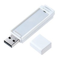 サンワサプライ USBフラッシュディスク 2GB UFD-RN2G2 (UFD-RN2G2)画像