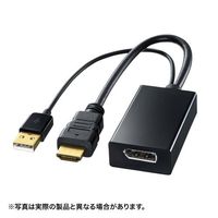 サンワサプライ HDMI-DisplayPort変換アダプタ AD-DPFHD01 (AD-DPFHD01)画像