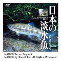 シンフォレスト 日本の淡水魚/DVD映像図鑑 (SDA27)画像