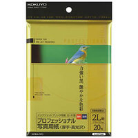 コクヨ KJ-GT1580 プロフェッショナル用紙 2L×20枚 (KJ-GT1580)画像