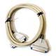 日商エレクトロニクス 50pinAmphenol-50pinAmphenol SCSI Cble2ｍ 特価品 (NE-AP-AP/2ｍ)画像