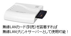 12460064_b.jpg