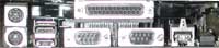p2bls-2.jpg