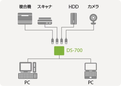 DS700-ex1
